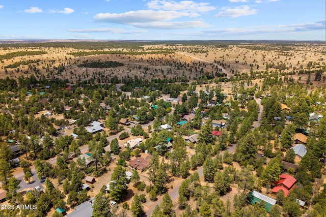 3384 Turkey Run, Overgaard, AZ 85933 - drone / aerial view