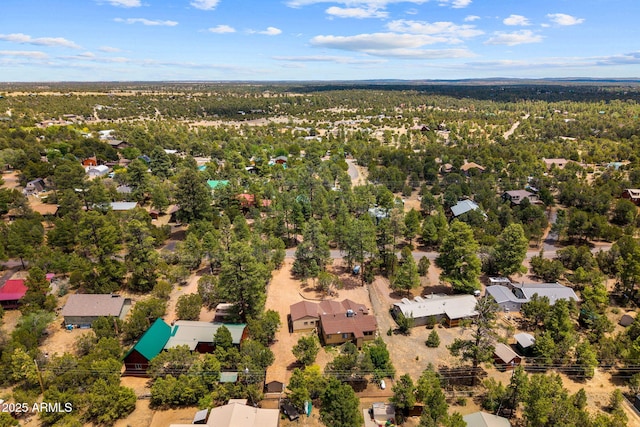 3384 Turkey Run, Overgaard, AZ 85933 - bird's eye view