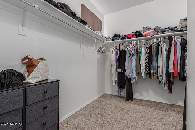 walk in closet with light carpet