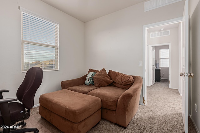 view of carpeted home office