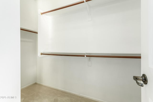 spacious closet featuring light colored carpet