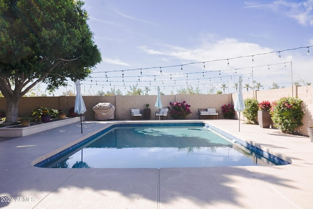 view of pool with a patio area