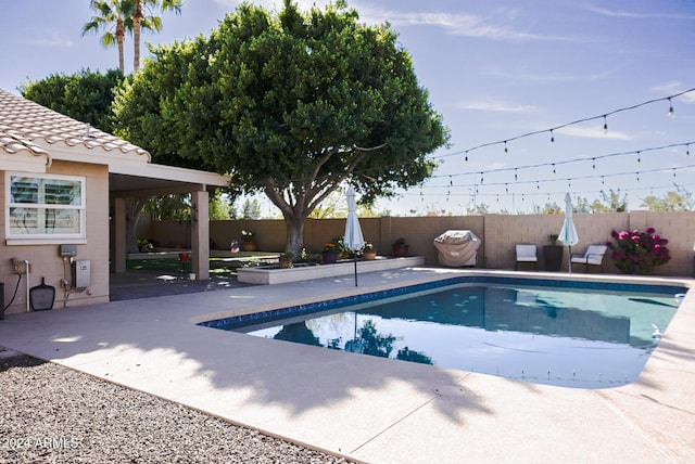 view of swimming pool with a patio area