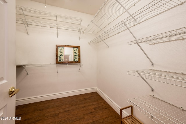 spacious closet with dark hardwood / wood-style flooring