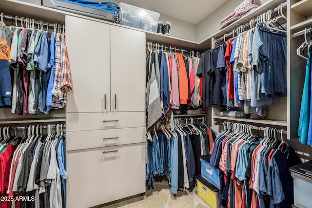 spacious closet featuring carpet floors