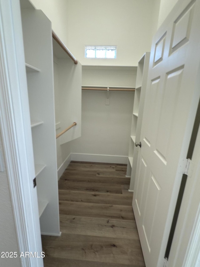 walk in closet featuring wood finished floors