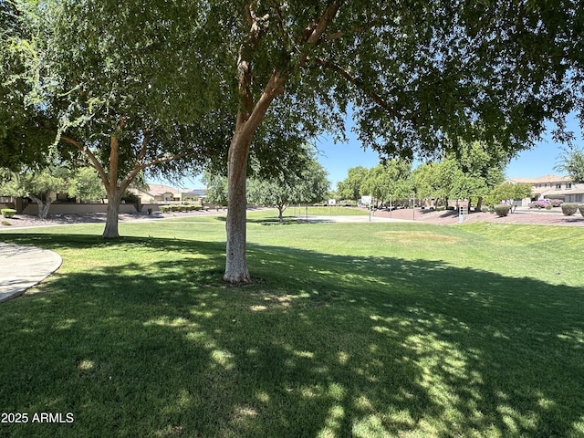 15429 W Ventura St, Surprise, AZ 85379 - view of green lawn