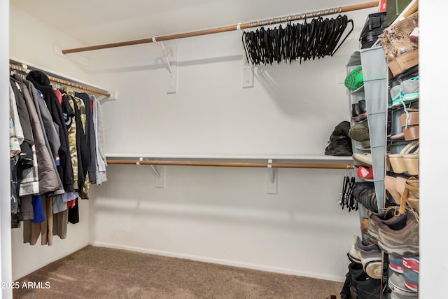 spacious closet with carpet