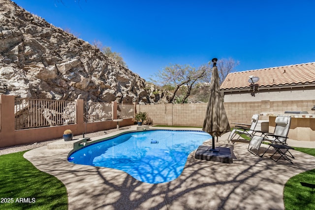 view of swimming pool featuring a fenced in pool, a patio, and a fenced backyard