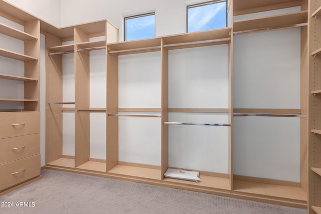 spacious closet with light colored carpet