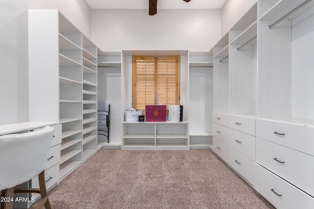 spacious closet featuring ceiling fan and light carpet