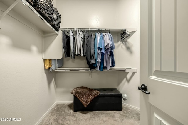 walk in closet with light colored carpet