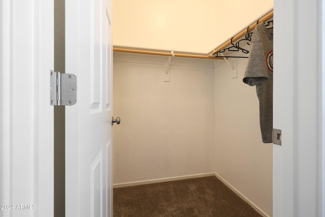 walk in closet with dark colored carpet