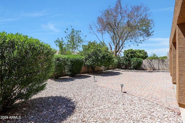 view of yard featuring a patio area and a fenced backyard