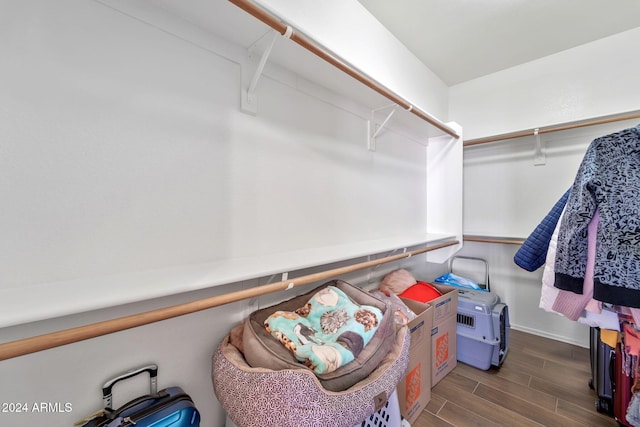 walk in closet featuring dark hardwood / wood-style flooring