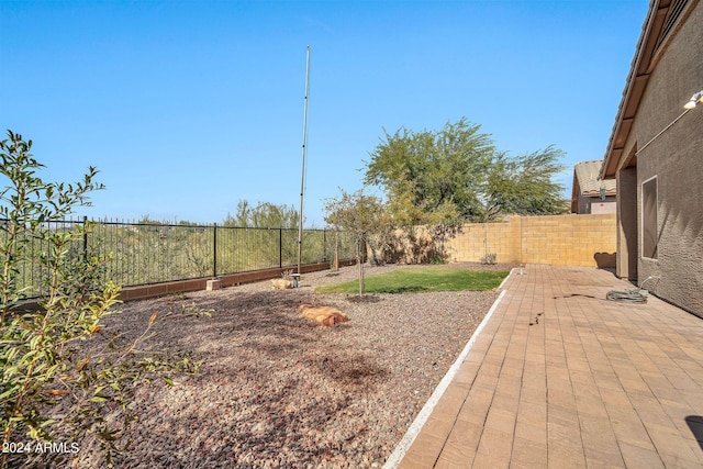 view of yard featuring a patio area