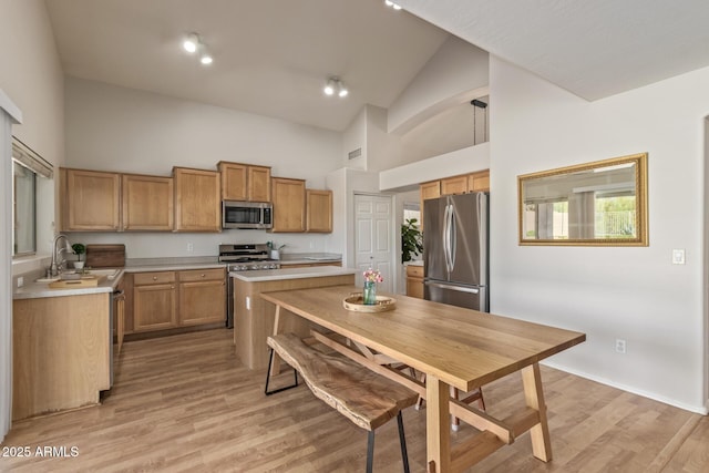 kitchen with light countertops, a sink, stainless steel appliances, and light wood-type flooring
