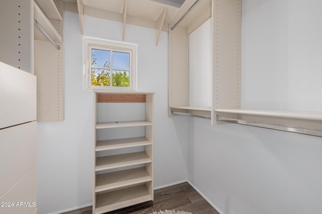 spacious closet with dark hardwood / wood-style flooring