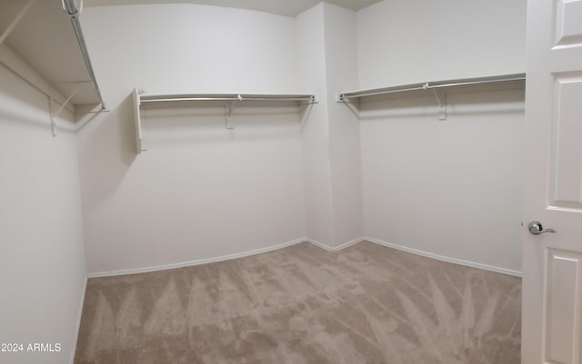 spacious closet featuring light carpet