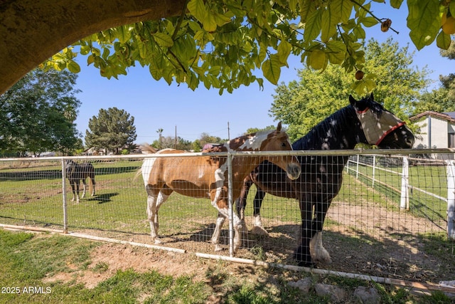 17710 E Brooks Farm Rd, Gilbert, AZ 85298 - view of horse barn