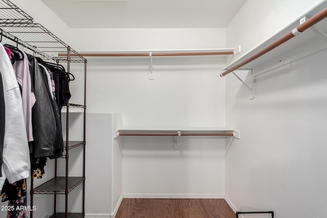 walk in closet featuring hardwood / wood-style floors