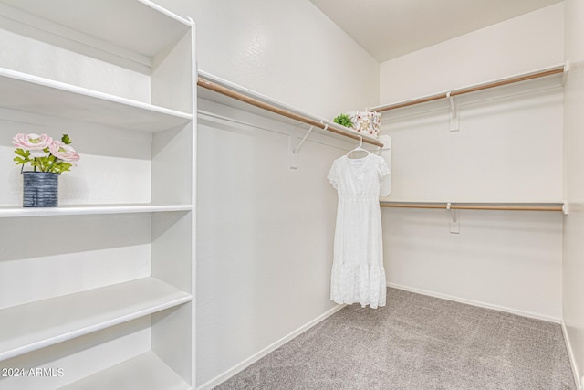 walk in closet featuring carpet flooring