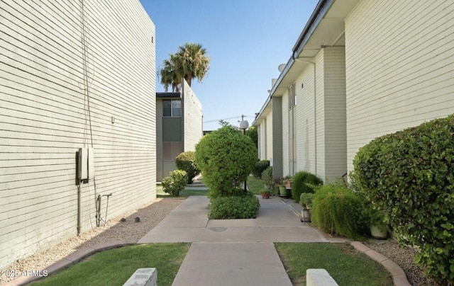 view of yard featuring a patio area