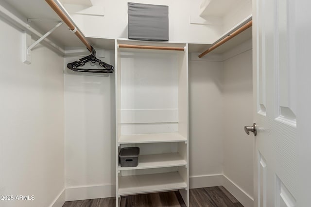 walk in closet with wood finished floors