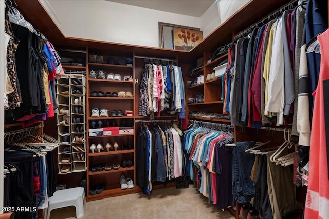 spacious closet with carpet floors