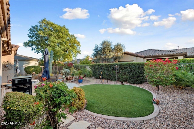 view of yard featuring a patio area