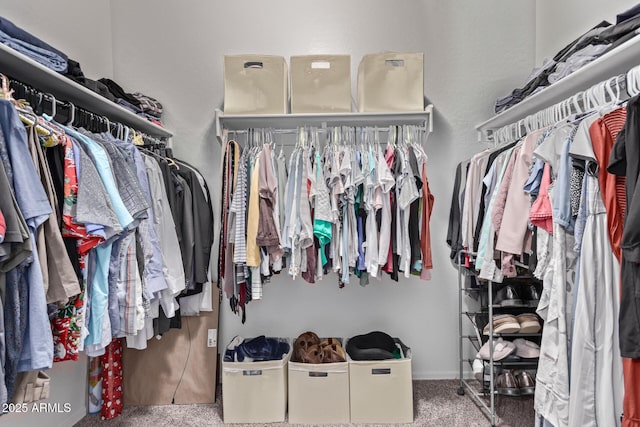 4741 E Fire Opal Ln, San Tan Valley, AZ 85143 - spacious closet with carpet