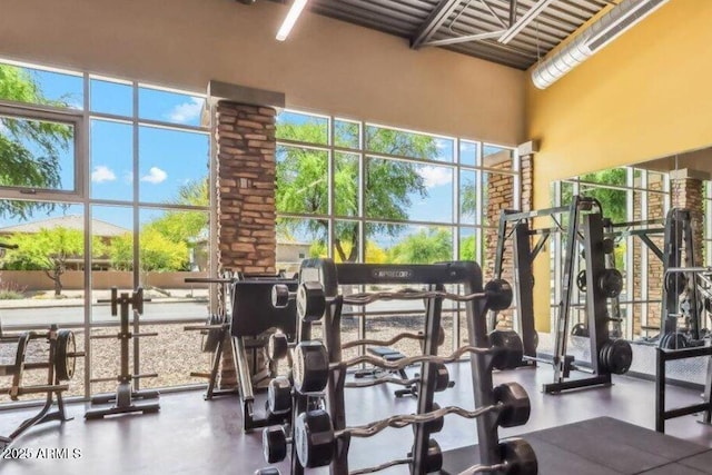 4741 E Fire Opal Ln, San Tan Valley, AZ 85143 - exercise room with a high ceiling