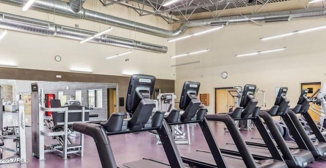 4741 E Fire Opal Ln, San Tan Valley, AZ 85143 - gym with a high ceiling