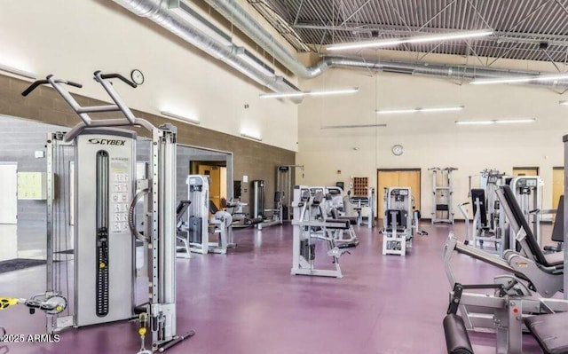 4741 E Fire Opal Ln, San Tan Valley, AZ 85143 - workout area featuring a towering ceiling