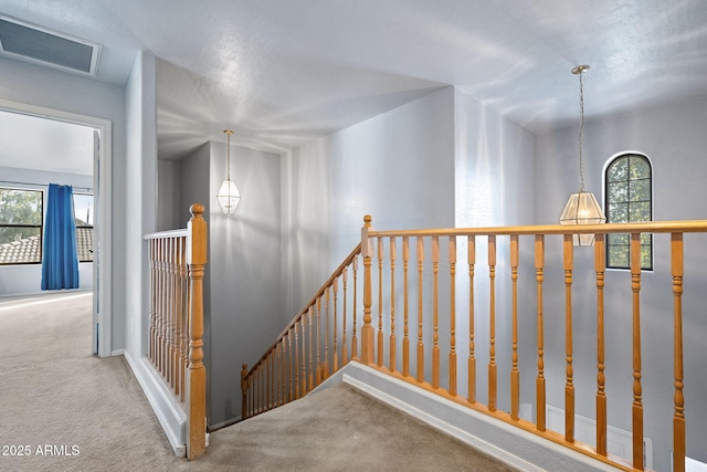 hall featuring carpet floors and a healthy amount of sunlight