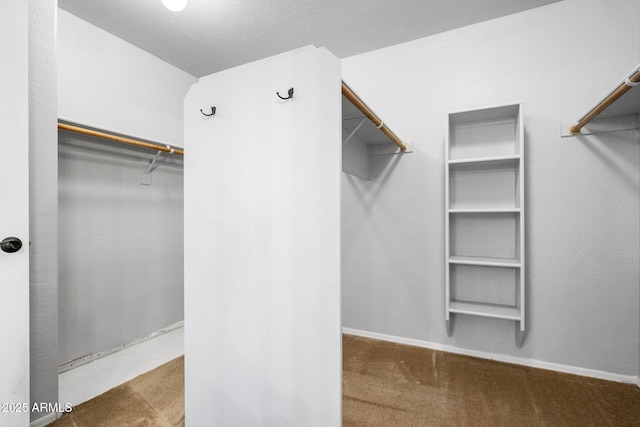 spacious closet featuring carpet floors