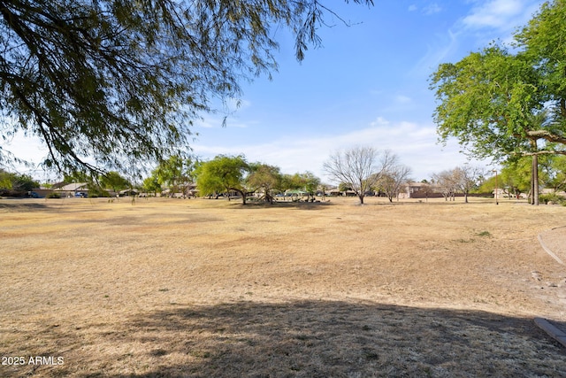 view of yard featuring a rural view