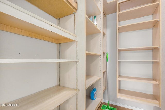 view of pantry