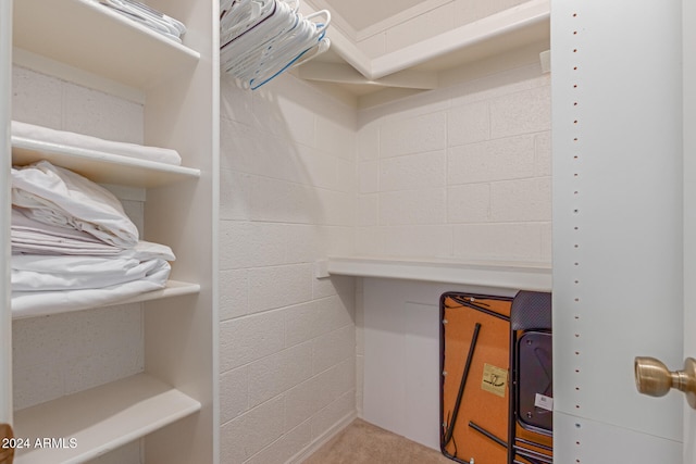 walk in closet featuring carpet floors