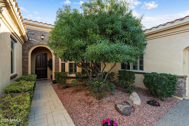 entrance to property featuring stone siding, a tile roof, and stucco siding