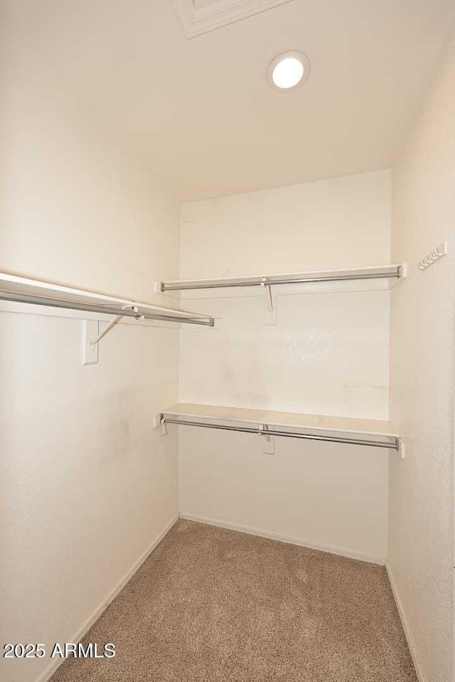 4081 N 156th Dr, Goodyear, AZ 85395 - spacious closet featuring light carpet
