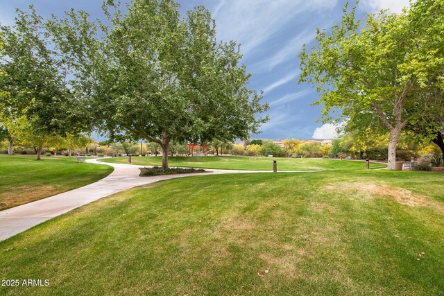 11875 W Lone Tree Trl, Peoria, AZ 85383 - view of property's community featuring a lawn