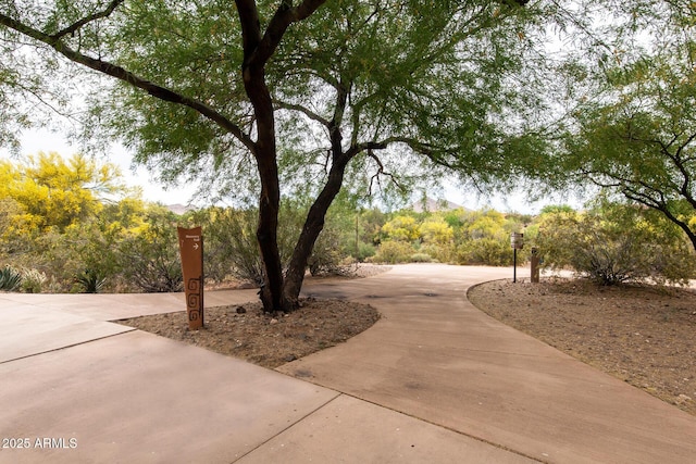 11875 W Lone Tree Trl, Peoria, AZ 85383 - surrounding community featuring curved driveway