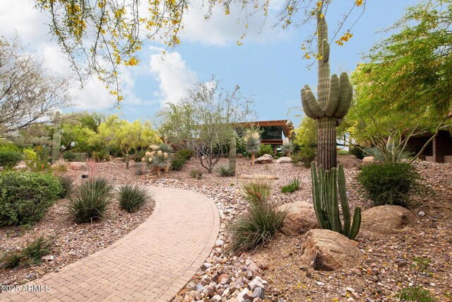 11875 W Lone Tree Trl, Peoria, AZ 85383 - view of yard