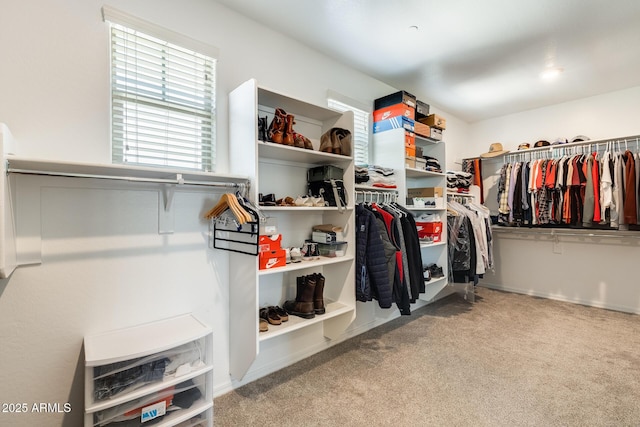 11875 W Lone Tree Trl, Peoria, AZ 85383 - spacious closet featuring carpet flooring