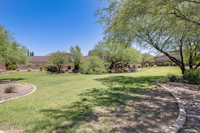 11875 W Lone Tree Trl, Peoria, AZ 85383 - view of grassy yard