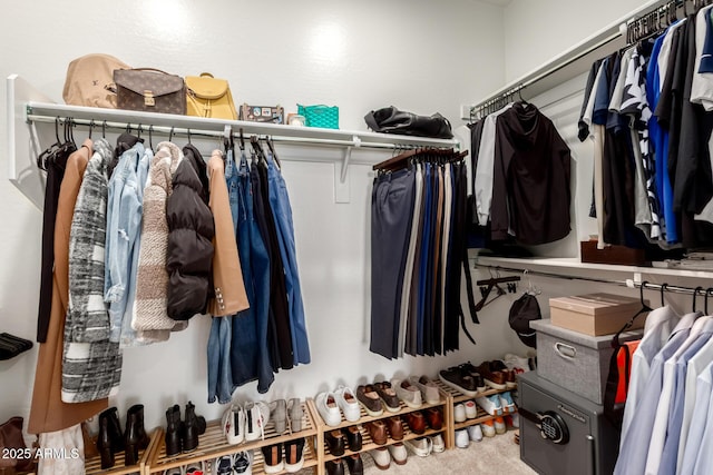 view of walk in closet