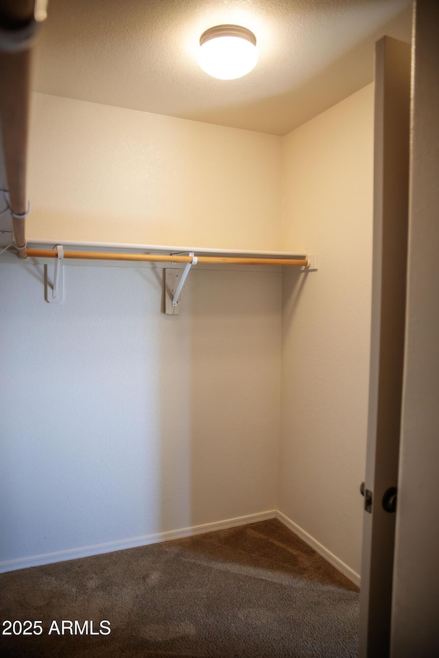 walk in closet with carpet flooring