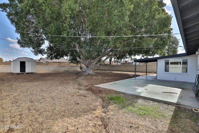 view of yard featuring a patio area and a storage shed