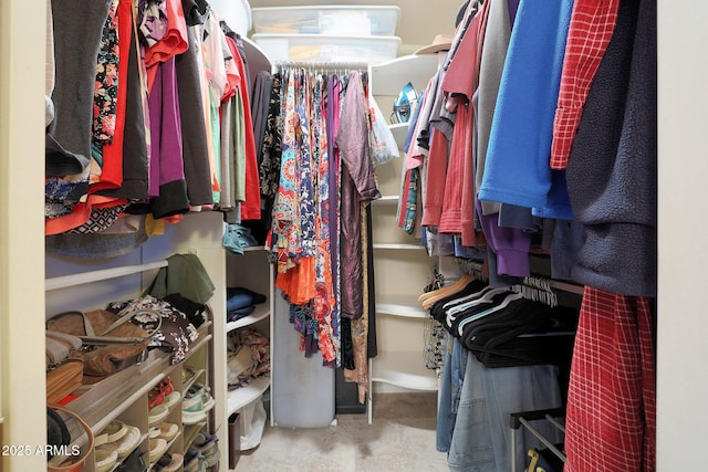 view of spacious closet